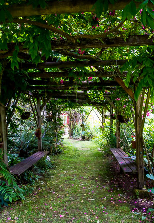 Bassetti's Gardens Crooked Arbor