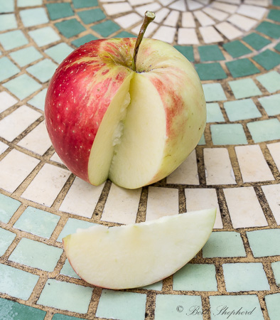 Macintosh apple ready to eat