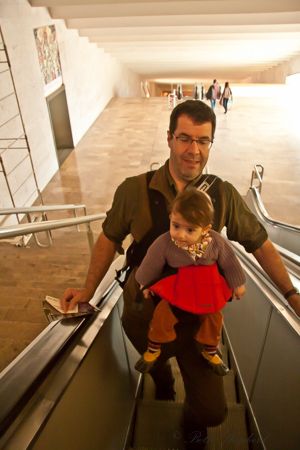 Escalator in the Cascades