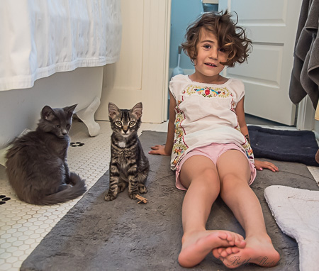 Two cats and my daughter