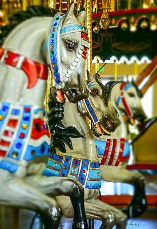 Gesa Carousel of Dreams