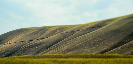 Folding hills in Washington