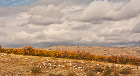 Hillsides Autumn in Armenia