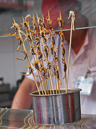 market scorpions to eat