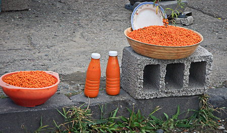 Sea buckthorn berries Armenia