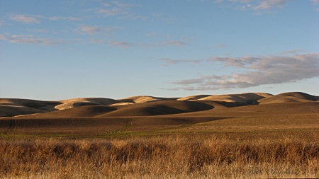 Washington Palouse