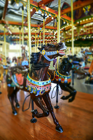 more carousel horses