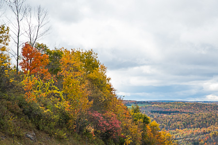 fall color in upstate NY