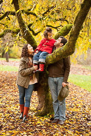 In the tree 