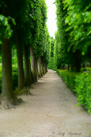 Jardin du Luxembourg 