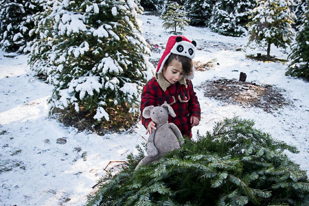 Christmas tree hunting 2014 bunny