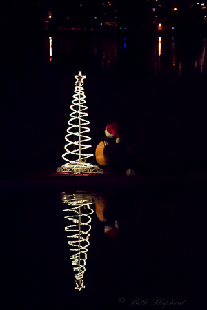 Kayaker Green Lake Pathway of Lights