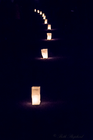 Luminaria Green Lake Pathway of Lights