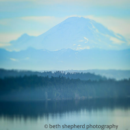 Mt Rainier 