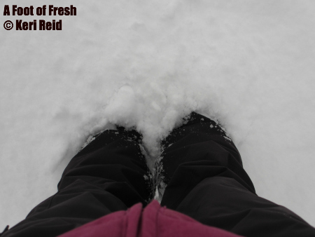 A Foot of Fresh Snow