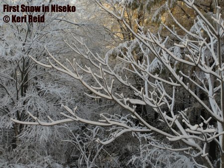 First Snow Niseko