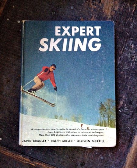 Expert Skiing