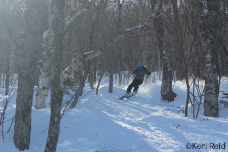 Jay Peak Glades