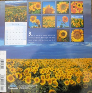 sunflower-calandar-296-x-300