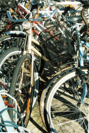 bike basket (302 x 450)