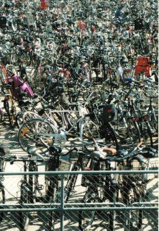 bike zoom in (310 x 450)