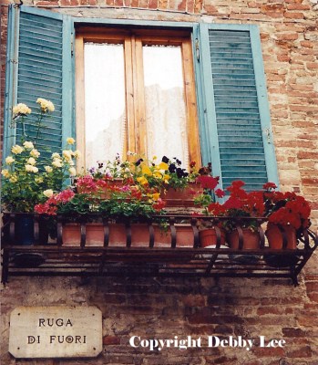 Montepulciano windows