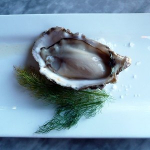 Oyster Appetizer from Spinnakers