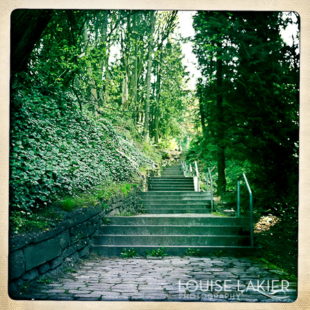 Stairs, Trail, Woods, Golden Gardens