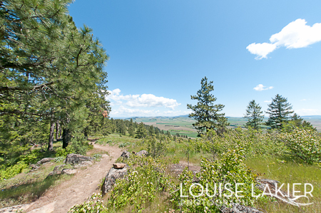 Hikes, Trails, The Palouse, Washington, Kamiak Butte