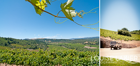 Bella Winery, Wine Caves, Vineyards, Lily Hill Estate, Healdsburg, California