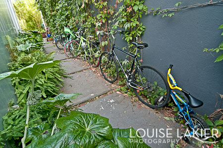 Bike Parking, Yakuza Restaurant & Gardens, Short Term Stays, Portland, Alberta Arts District