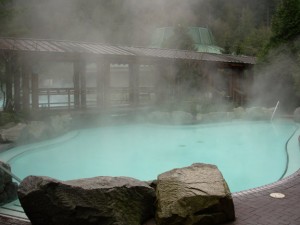 Adult Pool with Steam