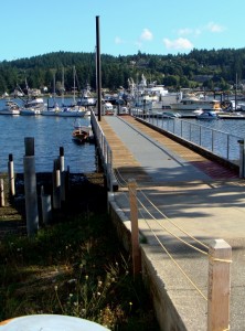Public Dock with Gig