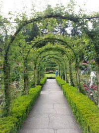 Butchart Gardens rose garden arch