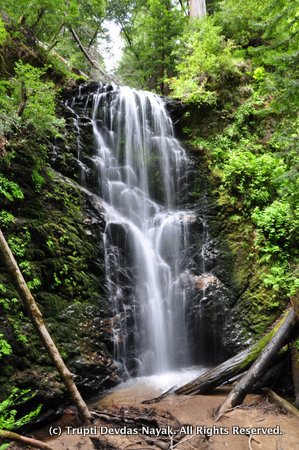 Berry Creek Waterfalls at Big Basin