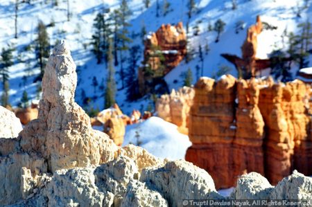 Red-rock hoodoos and pure white snow
