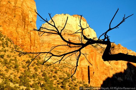 Sunset at Zion National Park