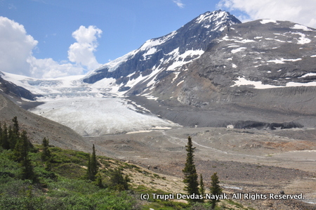 View of Athabasca Glacier from Wilcox Pass