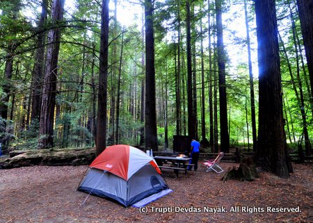 Camping In Redwood National Park