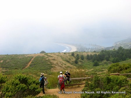 Dipsea Trail Stinson Beach View