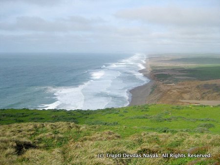 Point Reyes National Seashore