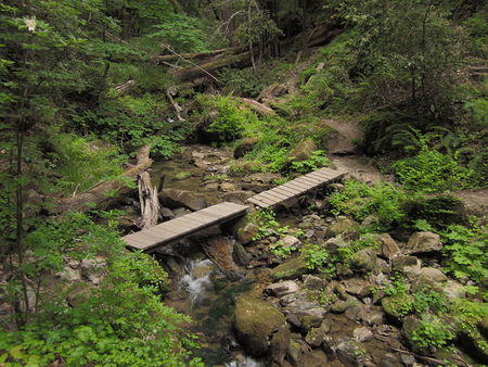 Skyline To Sea Trail