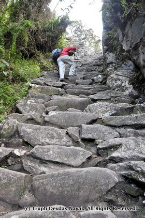 Hiking Inca Trail to Machu Picchu