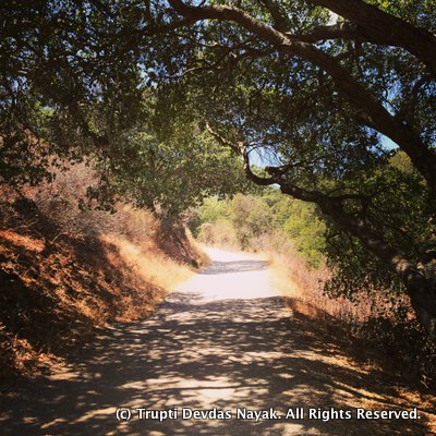 Hiking In Rancho San Antonio