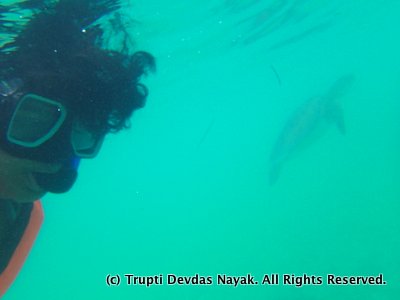 Selfie with a sea turtle in Akumal, Mexico