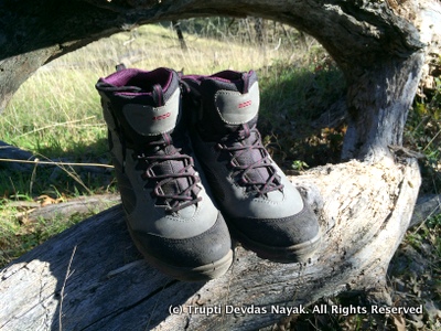 Ecco Ulterra Mid GTX Hiking Boots