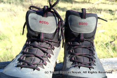 Ecco Hiking Boots Close Up