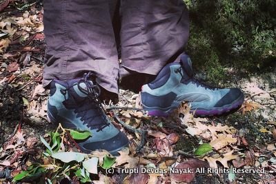 Ecco Womens Ulterra Mid GTX Hiking Boots
