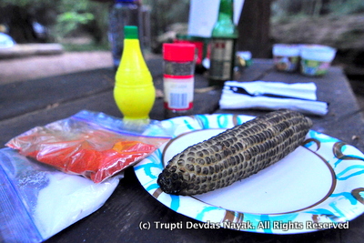 Roasted corn on cob campfire camping