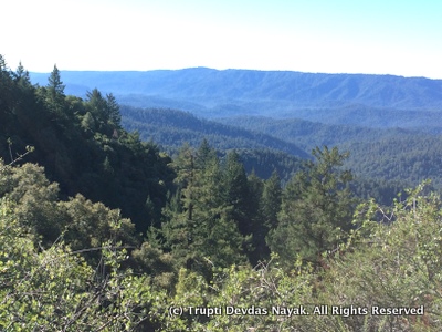 Blue Mountains Castle Rock State Park